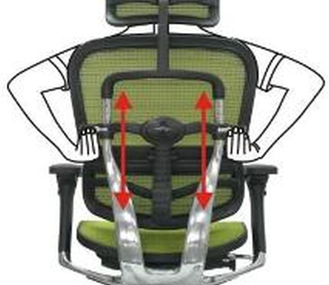 Ergonomiczny fotel Ergohuman Plus z podstawk - oparcie